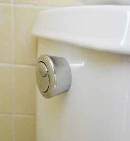 Push button toilet flush Replacement