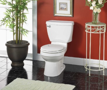 Which American Standard toilet Can you flush golf balls down?