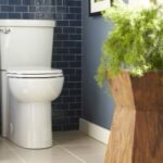 American Standard Toilet Flushing Problems